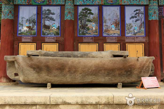 비사리 구시