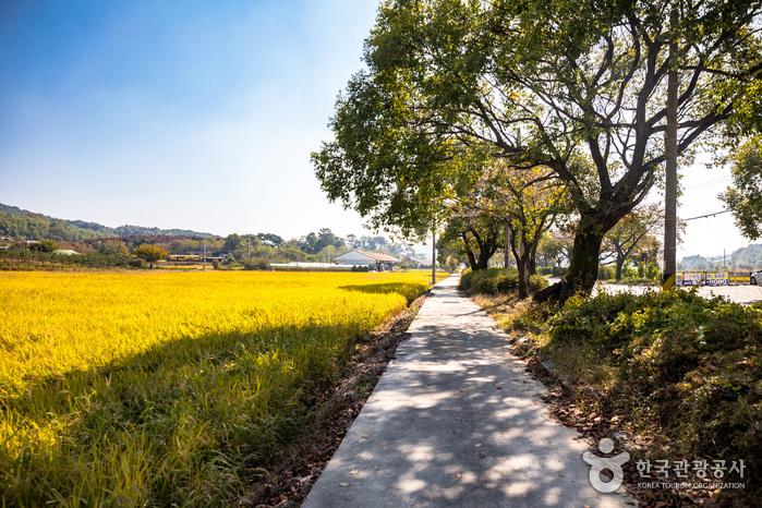 출발지점에서 얼마 지나지 않아 발길을 세우게 만드는 평화로운 전원 풍경