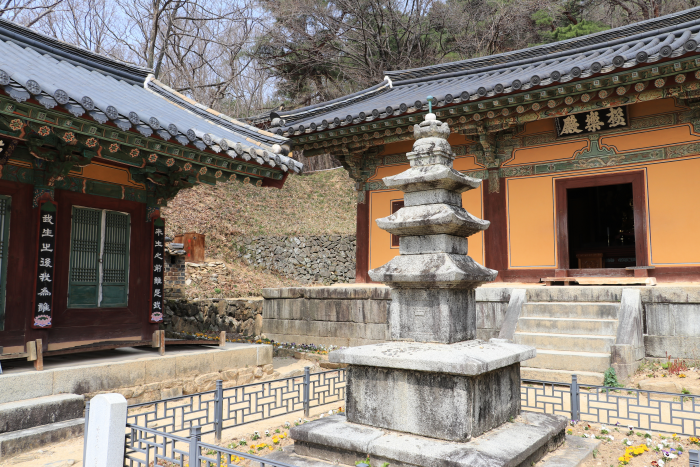 버스로기획 이미지