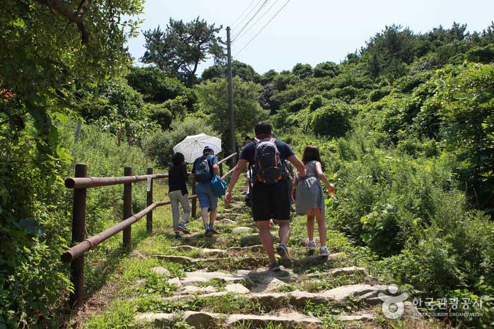 섬산 소매물도, 제법 가파른 오르막 길이 이어진다