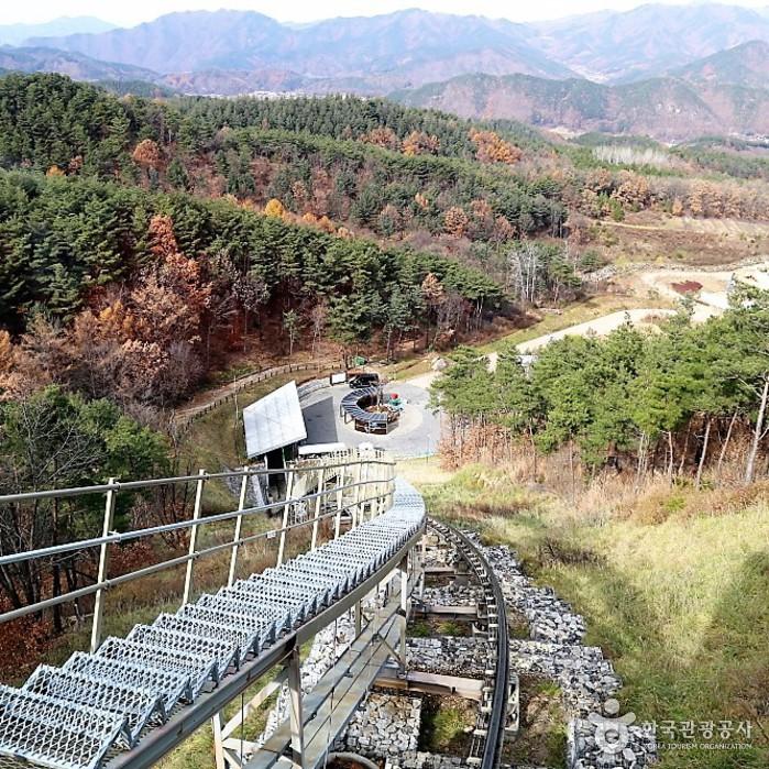 모노레일에서 바라본 전경