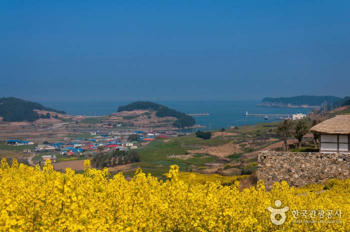 당리 언덕에서 바라본 도청항