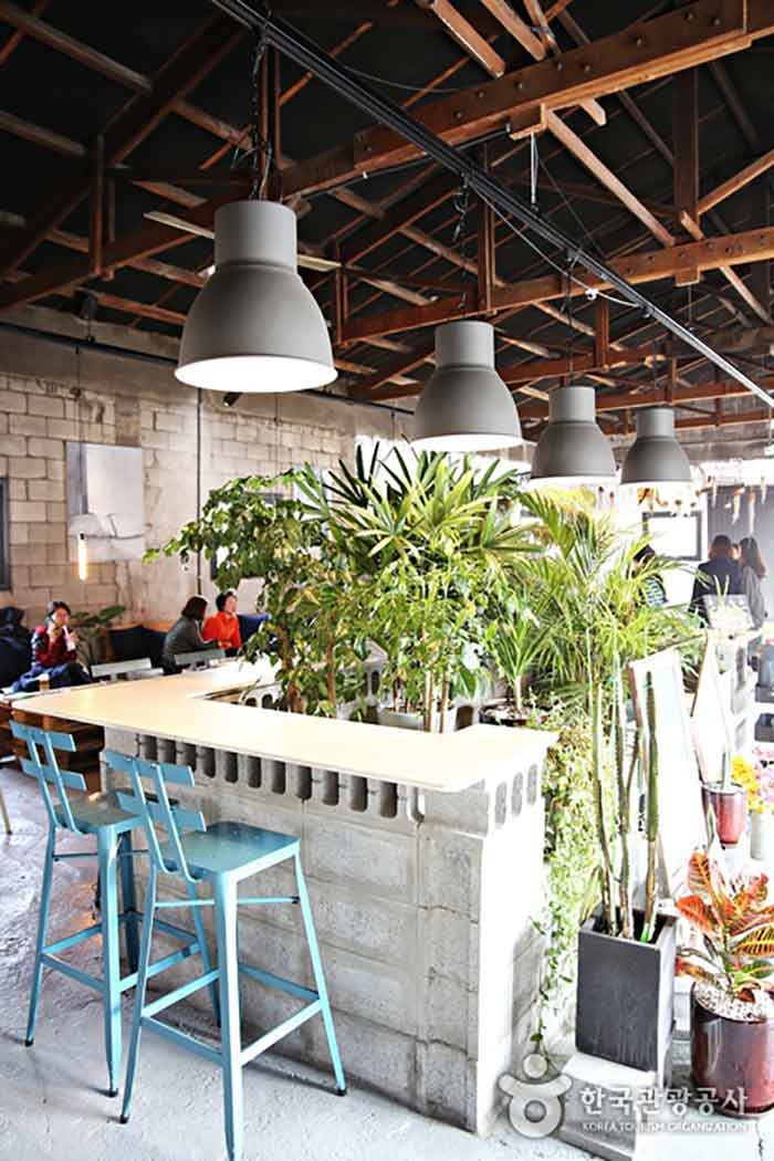 남양주 소재 카페 ‘플랜트202’ 