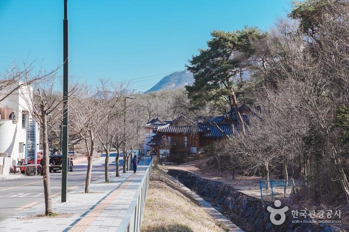 아직은 겨울의 내음이 가시지 않았다.