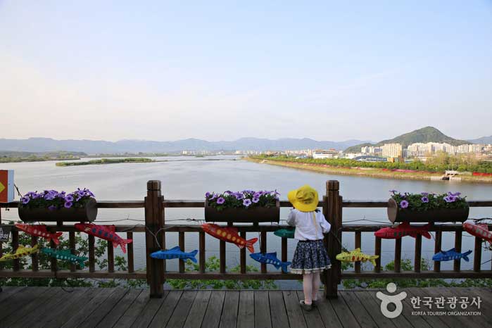 춘천MBC 전망데크에 오르면 시원한 풍광이 펼쳐진다