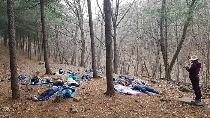 프로그램에 참여하는 사람들<사진제공·산음자연휴양림>