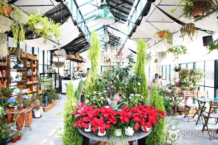 파머스대디의 대표 공간인 그린하우스