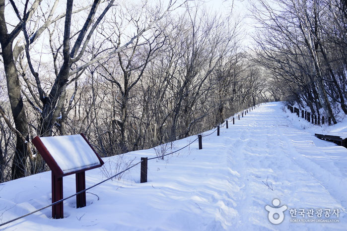 노고단 코스