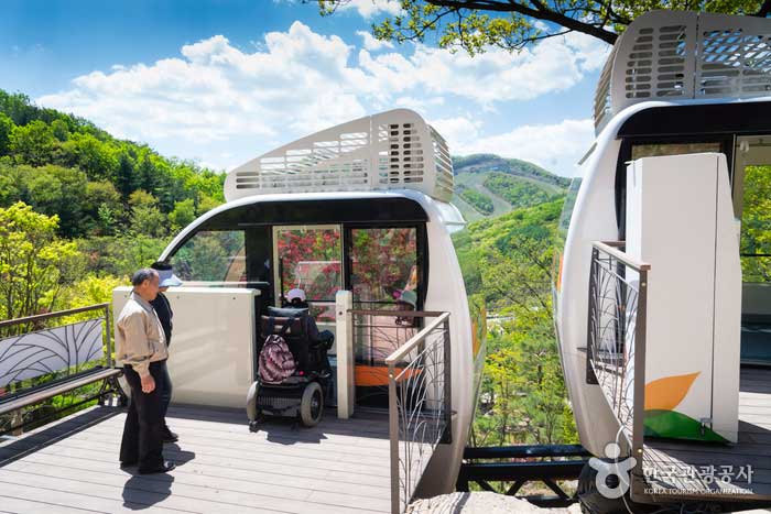 곤지암 화담숲 정상까지 운행하는 모노레일