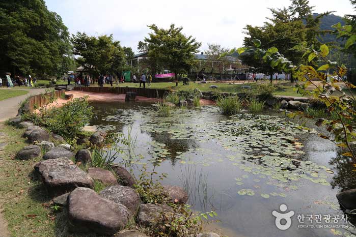 담빛예술창고 뒤편의 연못