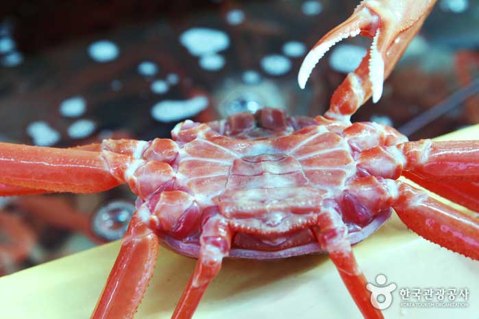 배껍질에 하얀색 선이 보이면 속살이 꽉 찬 것은 아니란다