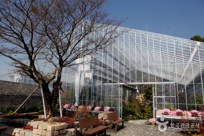진해보타닉뮤지엄 온실