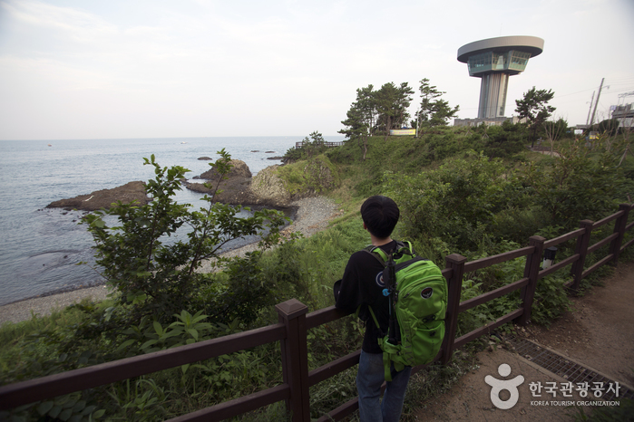 낮에 바라본 경주 주상절리 파도소리길 해변