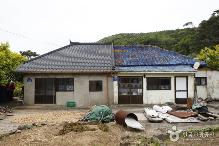 외양포 한 지붕 아래 두 가구. 좌우 지붕 모양이 긴 세월을 보여준다.