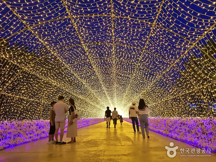 ‘별빛정원 우주’에 있는 터널갤럭시101은 국내에서 가장 긴 101m 빛의 터널이다.