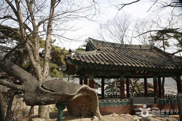 아산 맹씨 행단에는 맹사성이 정사를 논한 구괴정이 있다.