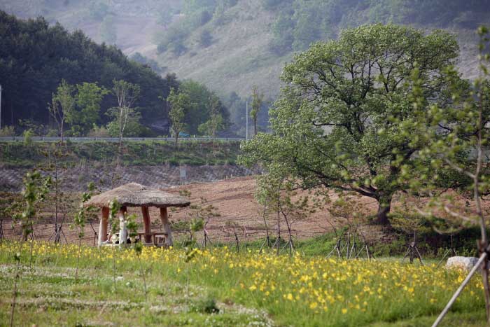 평화습지원 풍경